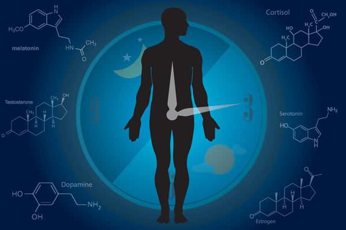 昼夜节律：认识身体的生物钟