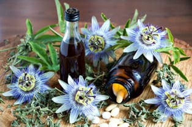 西番莲：常见的睡眠相关植物