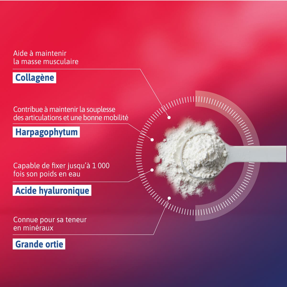 Alvityl® Chondroflex Collagène相关图片