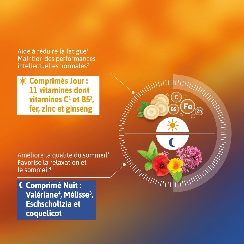 Alvityl® Vitalité Jour – Nuit相关图片